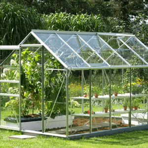 Bahçe Bitkileri Cam Sera